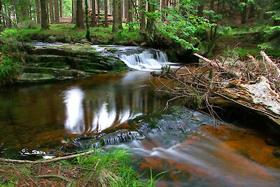 Natur und Erholung im Bayer. Wald